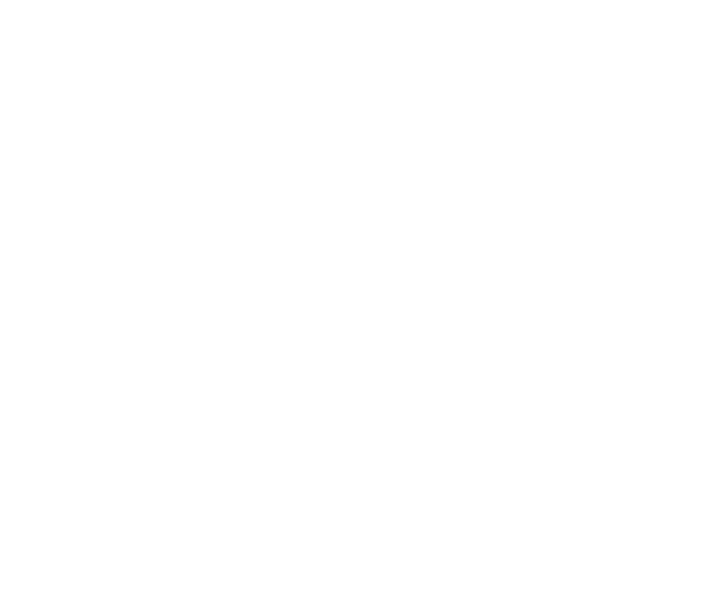 anchor-point-logo-white